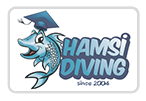 Hamsi Diving